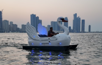 19.09.2025_20.26.34_REC